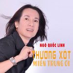 Tình Chỉ Đẹp Khi Còn Dang Dở-cover