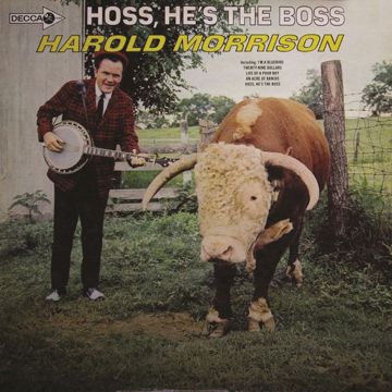 the-bosshoss-yes-or-no-cover-image