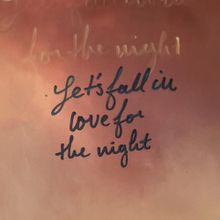 Lets Fall In Love For The Night