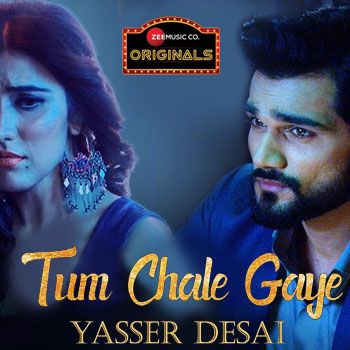 Tum Chale Gaye-cover