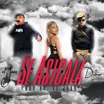 Se Asicala-cover
