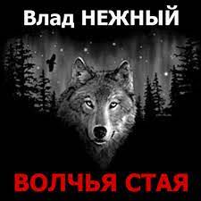 мы волки