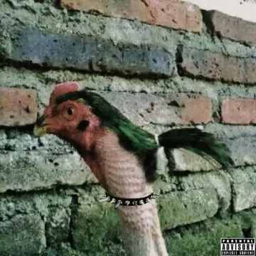 cutie bandolero-cover