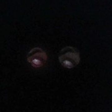 coveImg