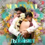 Maiyal (From &quot;Hi Nanna&quot;)-cover