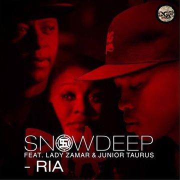 Pitori-cover