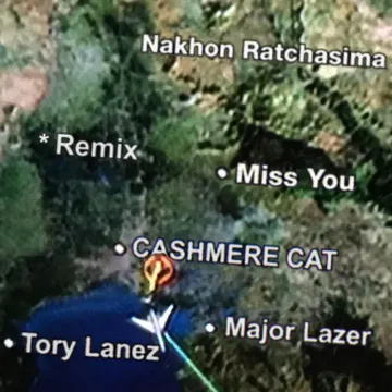 Miss You (Major Lazer & Alvaro Remix)-cover
