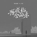预感你会回来-cover