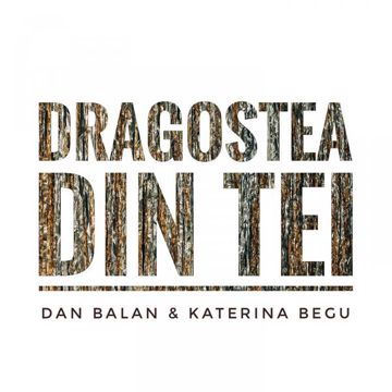 Dragostea Din Tei-cover