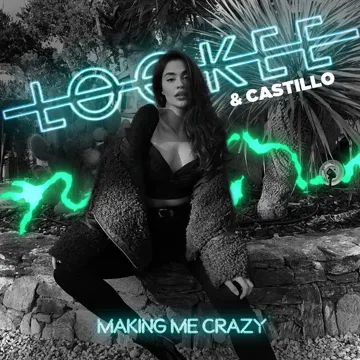 Making Me Crazy-cover
