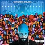 Electric Wire Hustle Flower(Album Version Explicit)-cover