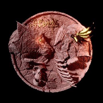 Paranoid Cheetahs（偏执猎豹）-cover