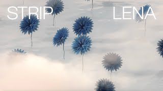 Strip-cover