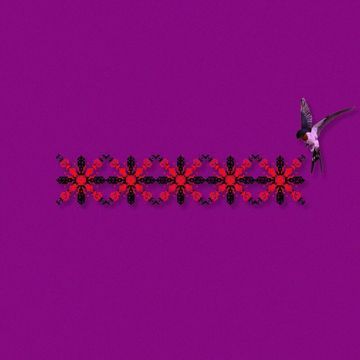 Ластівки -cover