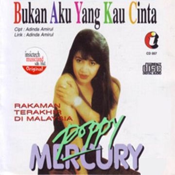 Bukan Aku Yang Kau Cinta-cover