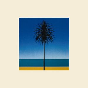 The Look-cover