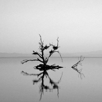 alone again-cover