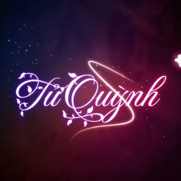 Tình Anh ( beat chuẩn ) / Tử Quỳnh