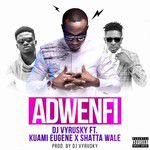 Adwenfi-cover