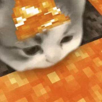 neko-cover