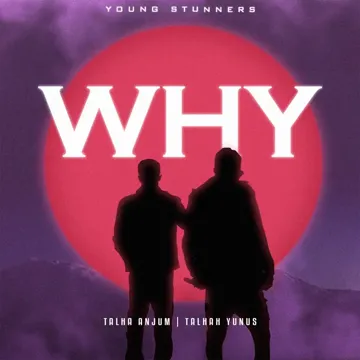 Why-cover