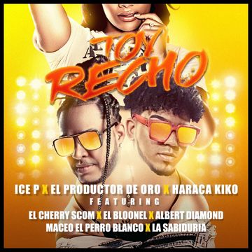 Toy Recho-cover