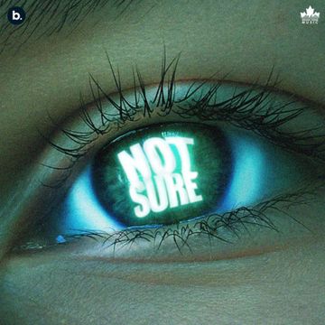 Not Sure-cover