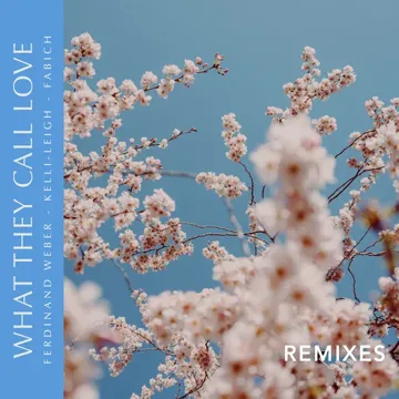 What They Call Love (Warren Remix)-cover
