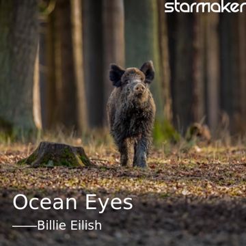 Ocean Eyes-cover