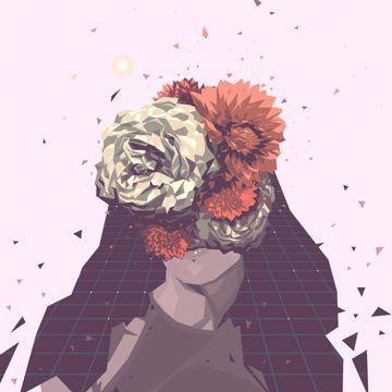 Wildcard-cover