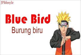 BURUNG BIRU { BLUE BIRD FULL INDO }