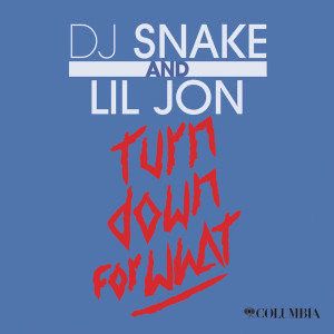 Turn Down For What-cover
