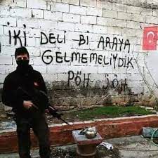 İki Deli Bir Araya Gelmemeliydik-cover