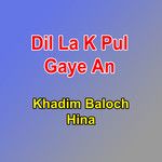 Dil La K Pul Gaye An-cover