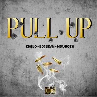 PULL UP-cover
