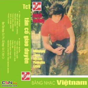 Rước Tình Về Với Quê Hương (Tân Cổ)-cover