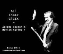 Gönül Gel Seninle Muhabbet Edelim-cover