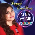 alka-yagnikkumar-sanu-ei-valobasha-cover-image