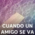 Cuando Un Amigo Se Va
