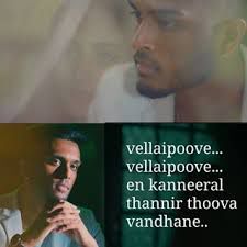 coveImg