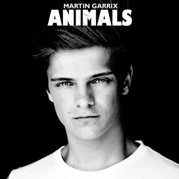 Animals-cover