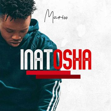 Inatosha-cover