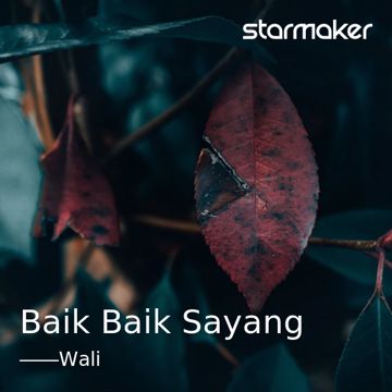 Baik Baik Sayang-cover