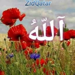 Allah ogo Allah