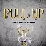 PULL UP-cover