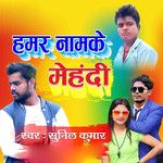 Hamar Namke Mehadi-cover