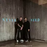 Never Need-cover