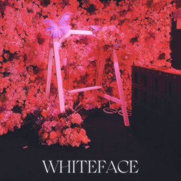 二月半-cover