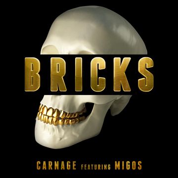 Bricks-cover