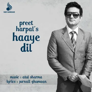 Haaye Dil-cover